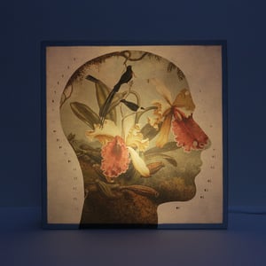 Image of Perfil Botánico 2