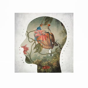 Image of Perfil Botánico 1