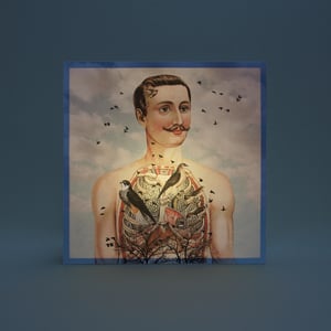 Image of Atrapa-pájaros formato cuadrado