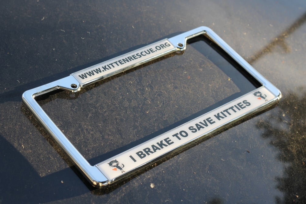 Image of License Plate Frame