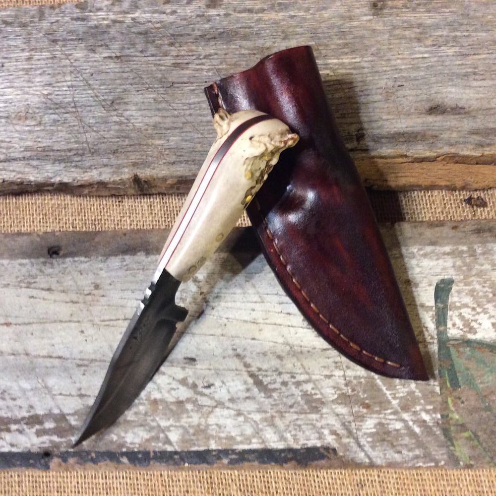 Image of Clip point with antler handle