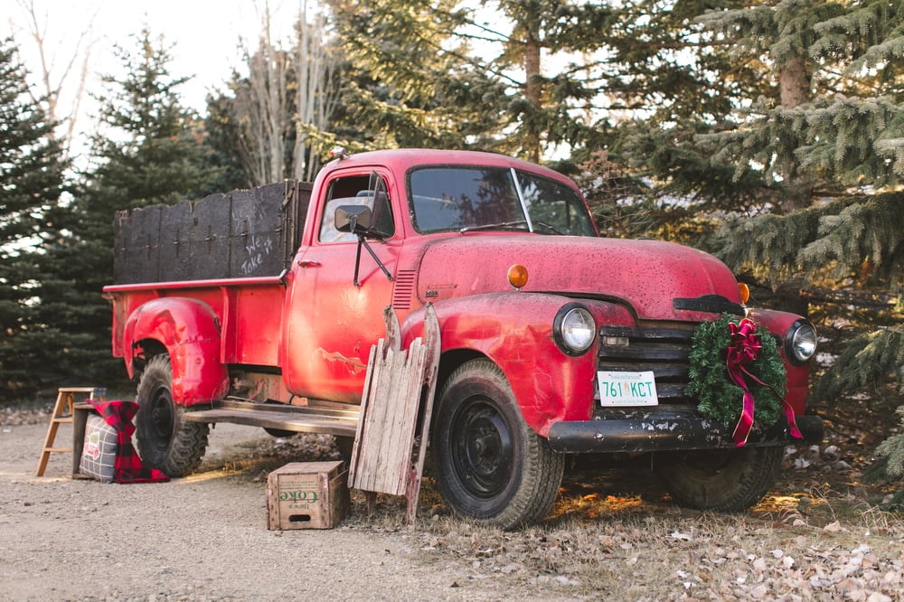 Image of HOLIDAY MINI SESSION - Outdoor November 18th - Oxbow