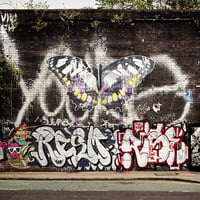 Image 4 of Graffiti Butterfly (Orange)