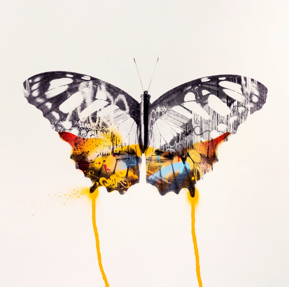 Image of Graffiti Butterfly (Orange)