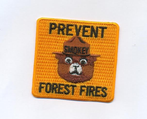 Image of Rare Smokey the Bear Prevent Forest Fires