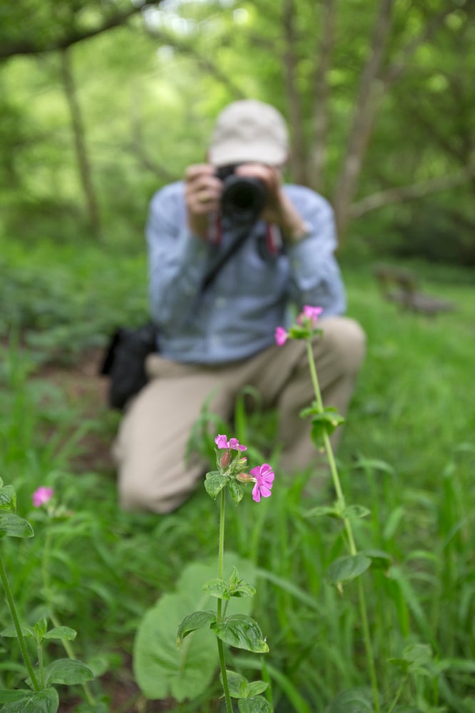 Image of Hampstead Heath Group Photography Workshop Gift Voucher