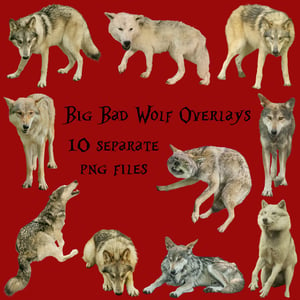 Image of Big Bad Wolf Overlays