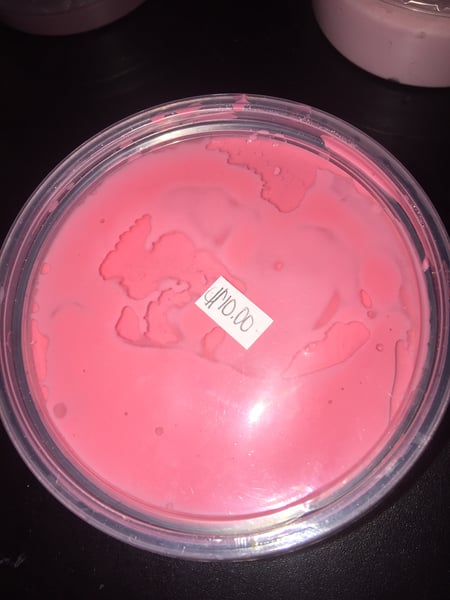 Image of pink jiggly slime 12OZ