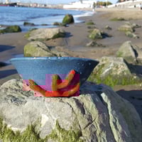 Image 1 of Coral Bowl 2