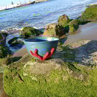 Image 1 of Coral Bowl 3