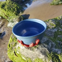 Image 2 of Coral Bowl 3