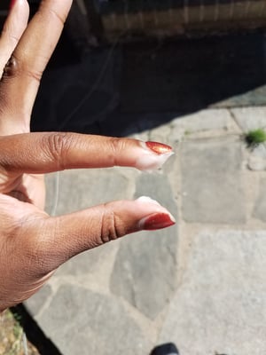 Image of 8oz Loc N Twist Puddin