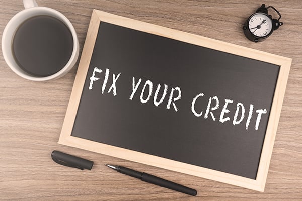 Image of D.I.Y. Credit Repair Guide