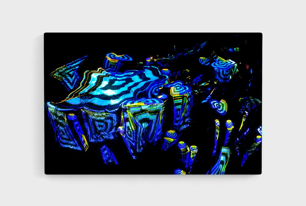 Image of Ficus Stump