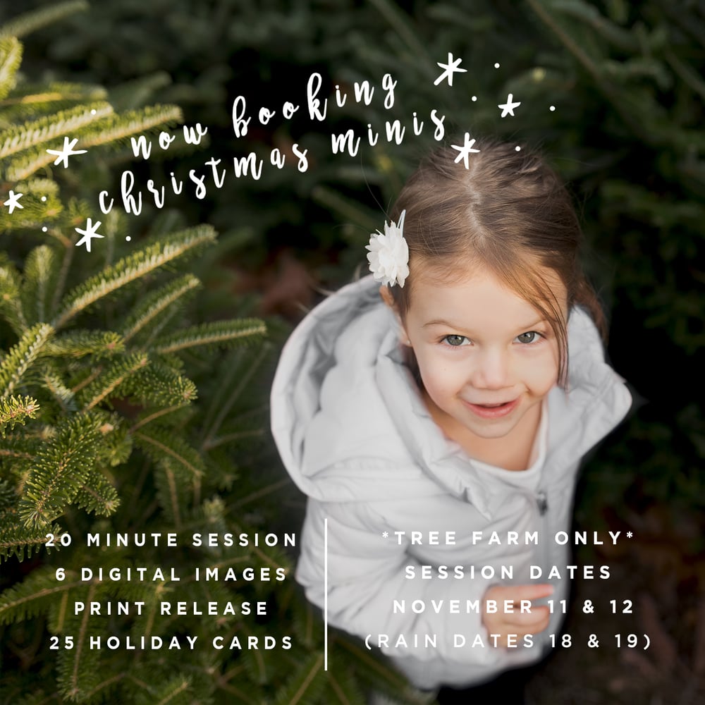 Image of CHRISTMAS TREE FARM MINI'S