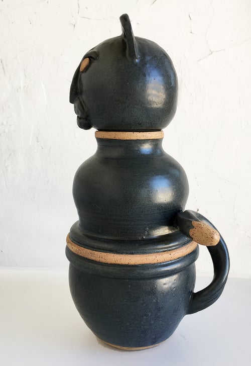 Image of Jackson, the Black jaguar