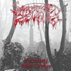 Image of Scattered Remnants - Procreating Mass Carnage