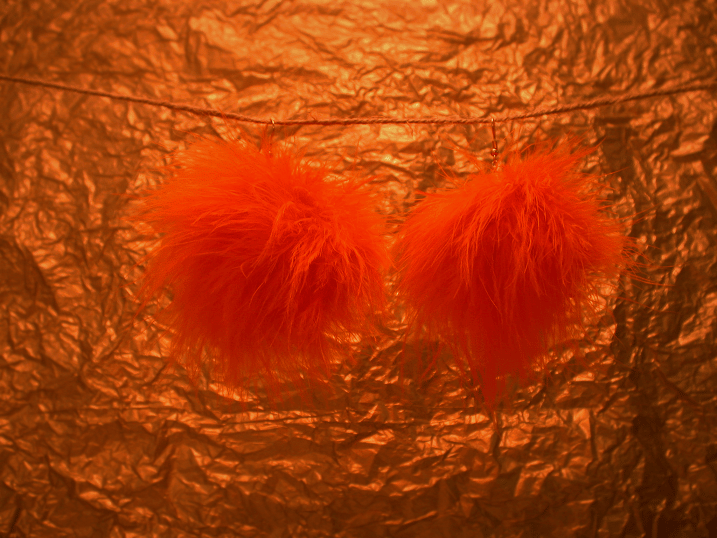 Image of orang3