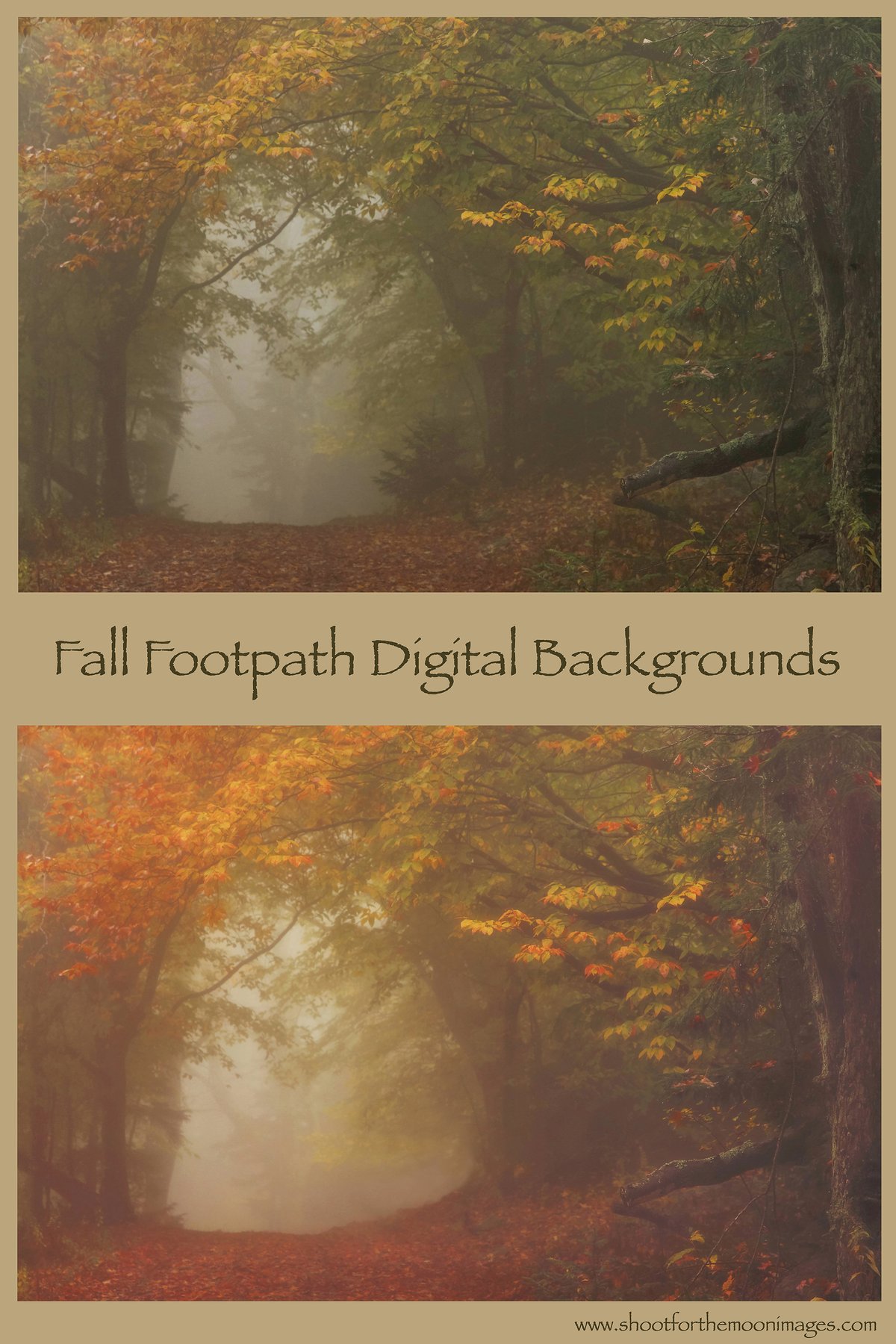 Image of Fall Footpath Digital Backgrounds