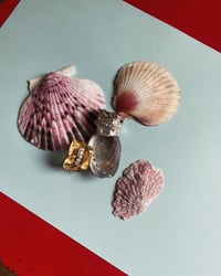 Image 3 of SEASHELL HOME