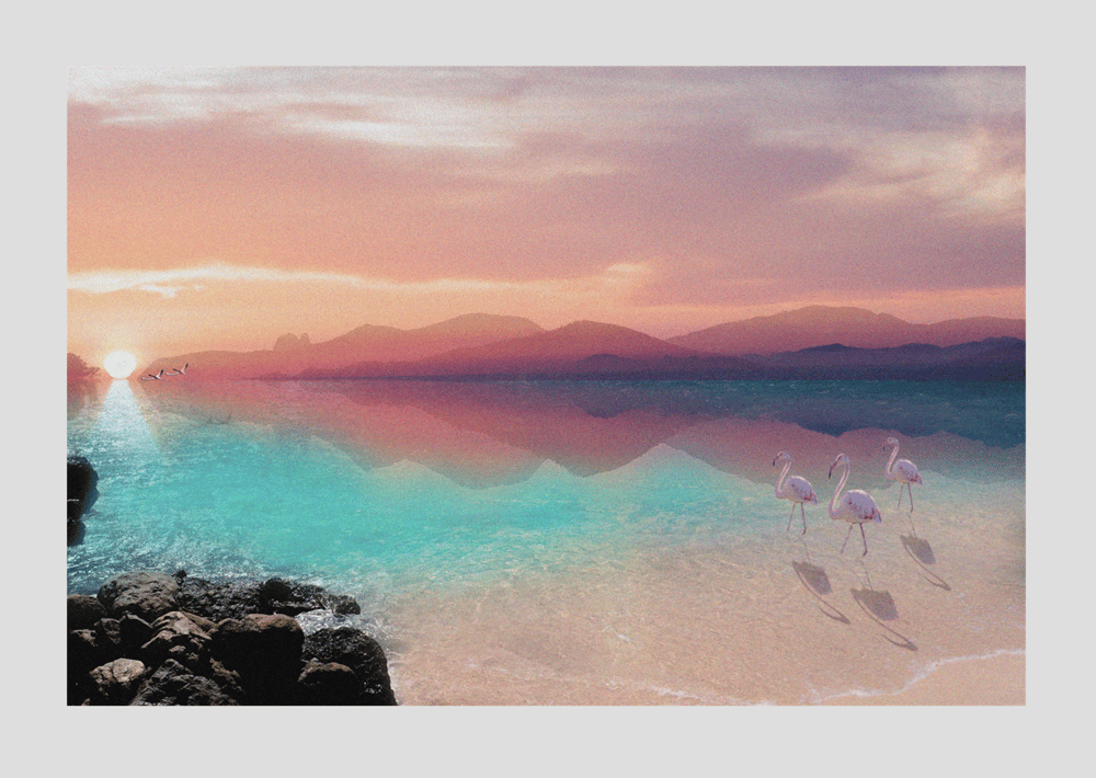 Image of Flamingo Paradise 75x50cm high quality photo print