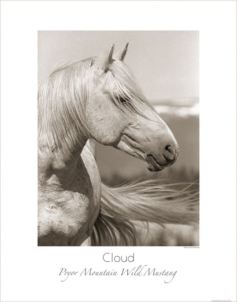 Image of Cloud (poster)