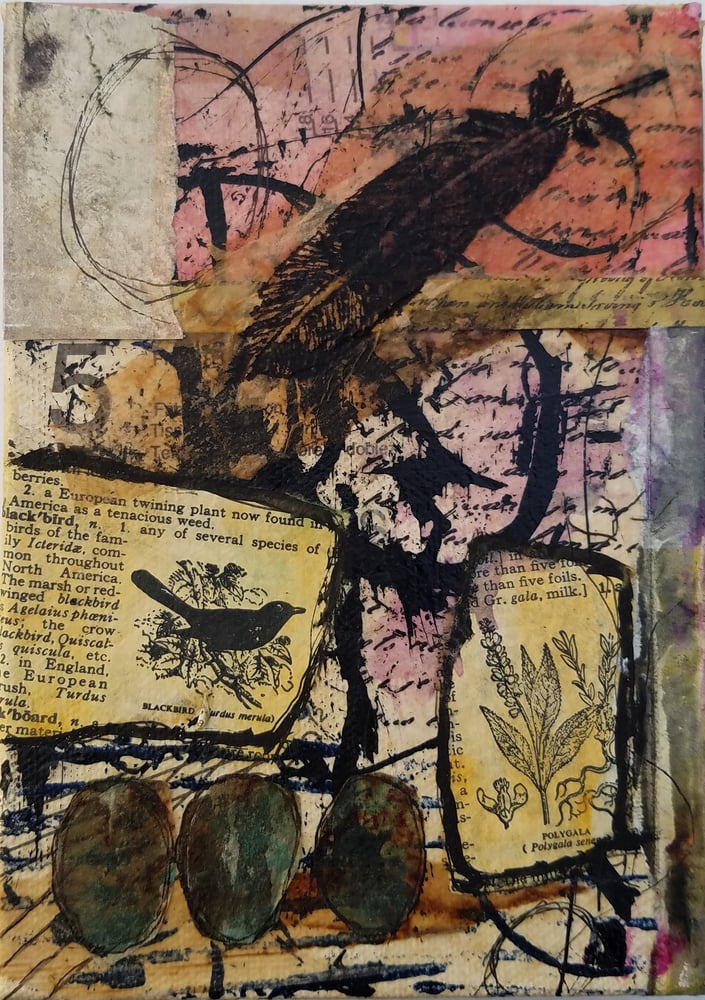 Image of Blackbird