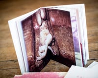 Image of TROPIQUE DU CANCER - Ulrich Lebeuf