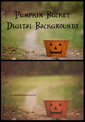Image of Pumpkin Bucket Digital Backgrounds