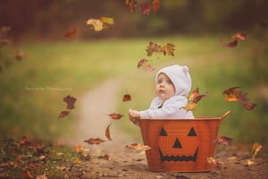 Image of Pumpkin Bucket Digital Backgrounds