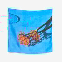 Image 1 of Not Coral