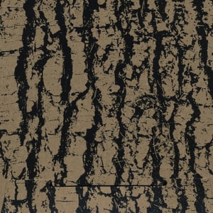 Image of Stephen Vitiello - Soundtracks DVD