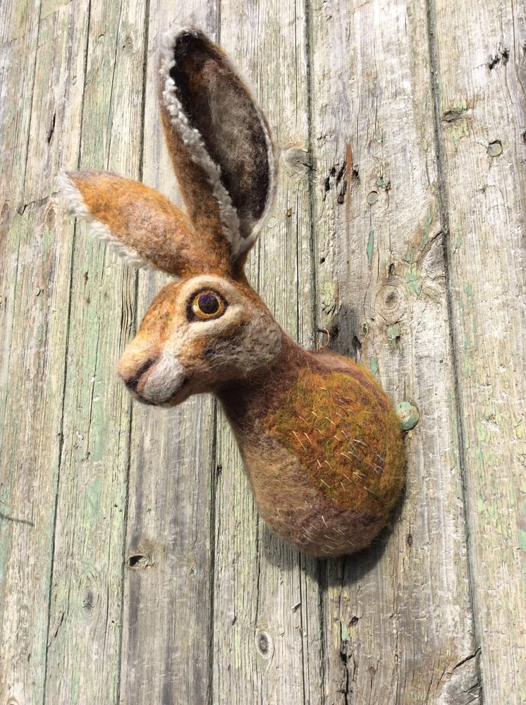 Image of Hare. (Faux Taxidermy Collection.)