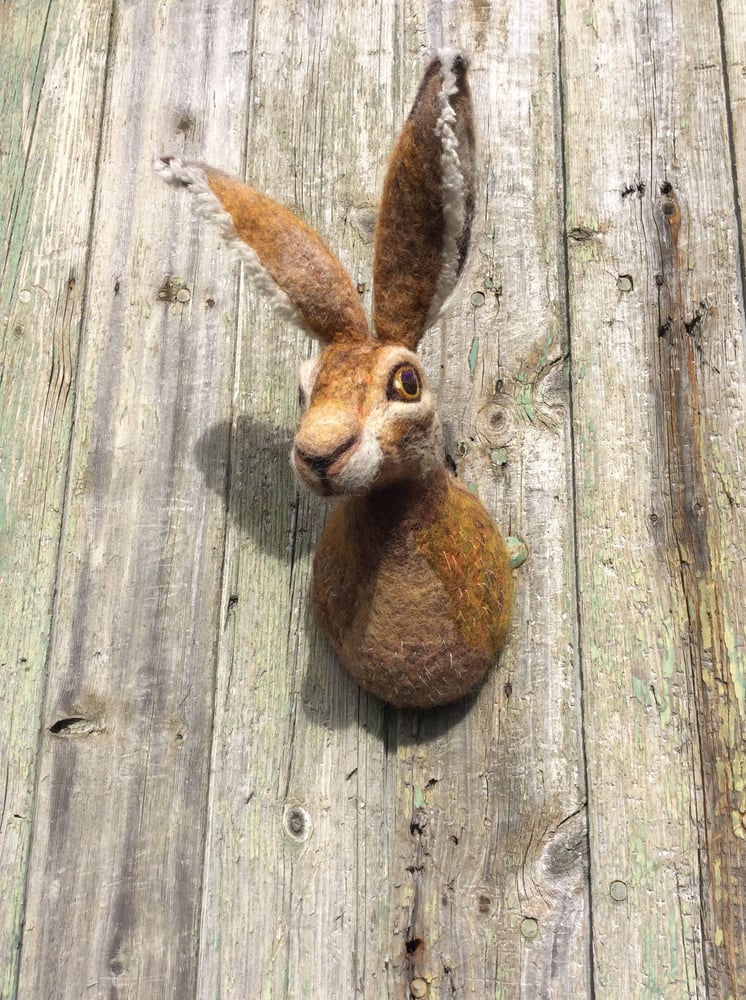 Image of Hare. (Faux Taxidermy Collection.)