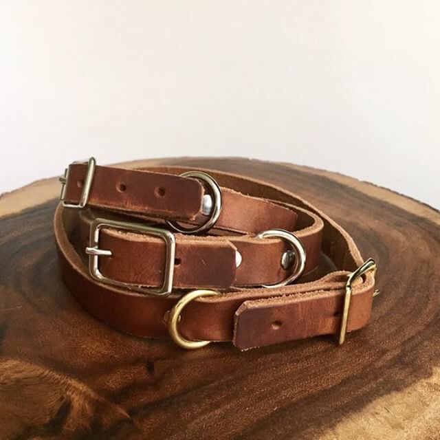 Saddle Leather Dog Collar | Anney Life 