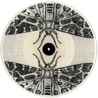Image 2 of x-ray five: Jute Gyte - The Sparrow EP