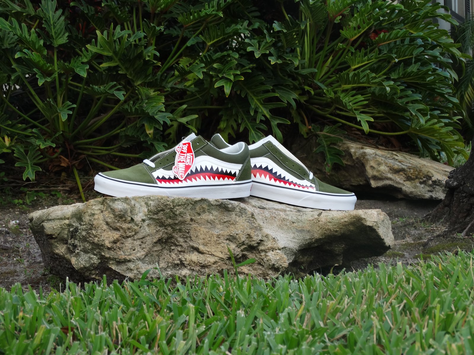 bape shark vans