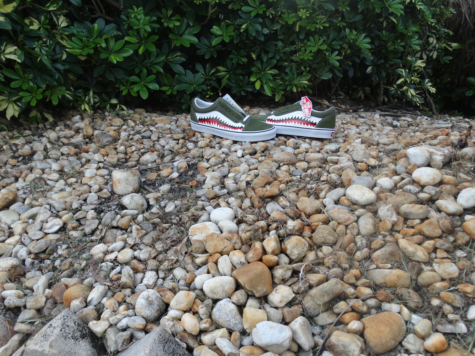 vans gravel