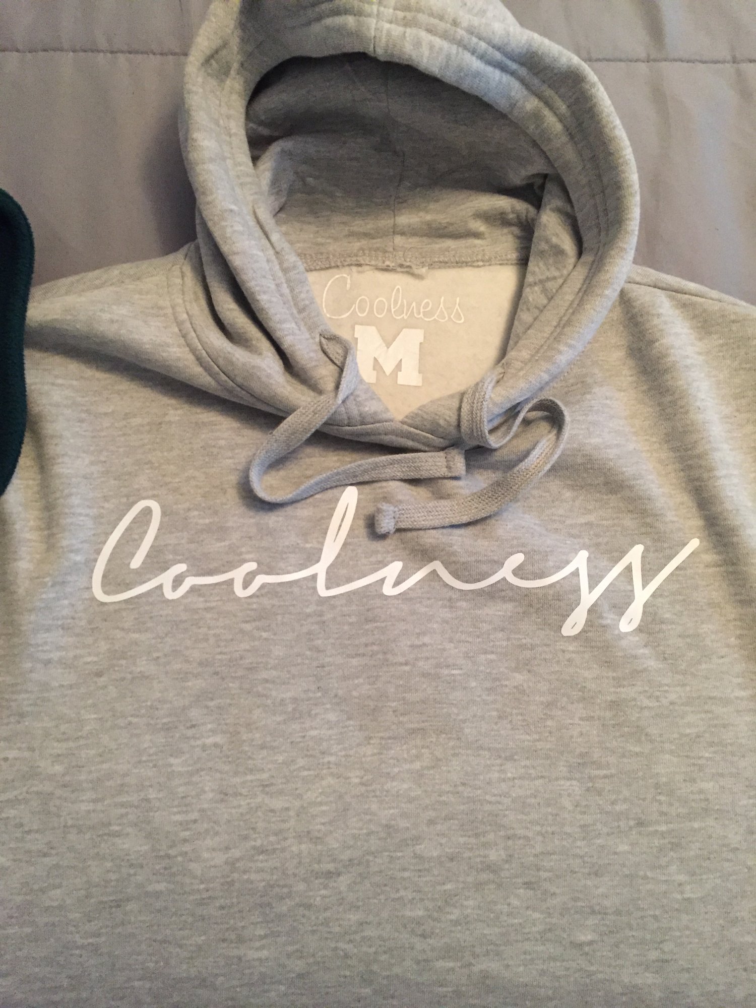 Image of Official Coolness Hoodie - Grey