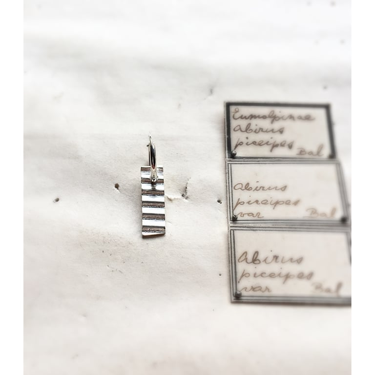 The New Wave Skinner Image 2