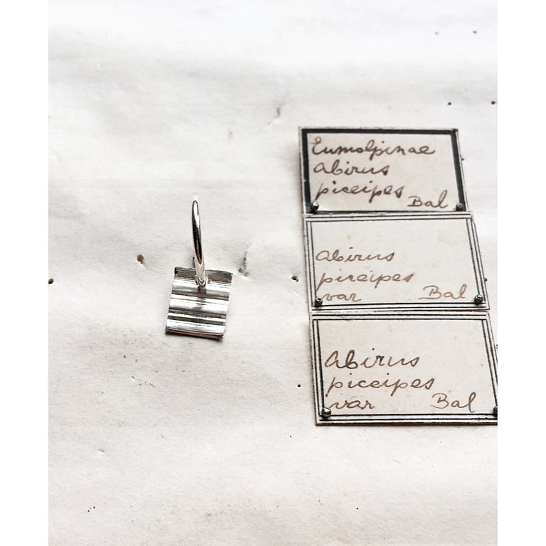 The New Wave  Image 2