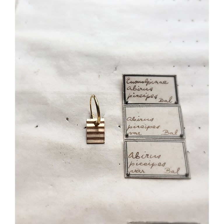 The New Wave  Image 3