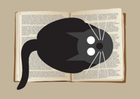 Image 1 of Book Cat
