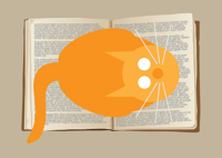 Image 5 of Book Cat