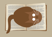 Image 3 of Book Cat