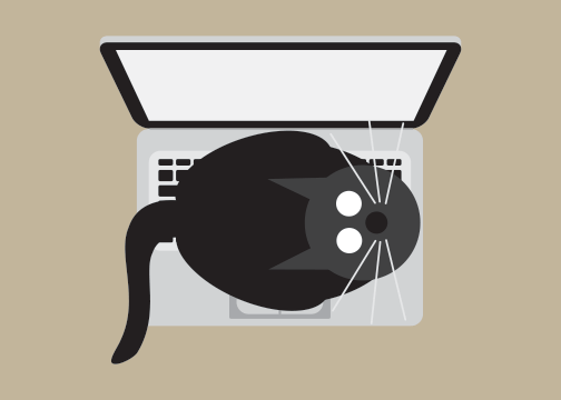 Laptop Cat