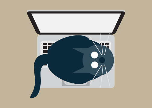 Laptop Cat