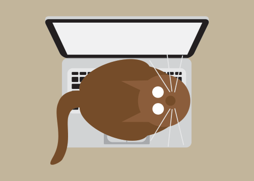 Laptop Cat