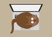 Image 3 of Laptop Cat