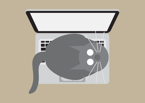 Laptop Cat